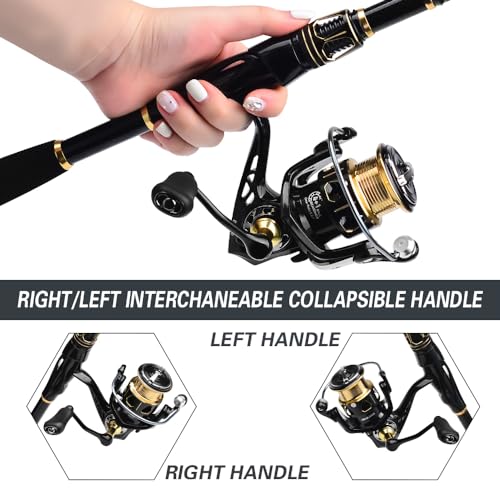 Fishing Rod and Reel Combo