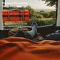 100% Wool Blanket
