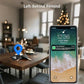 Wallet Tracker Card