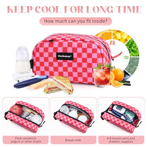 Small Cooler Bag