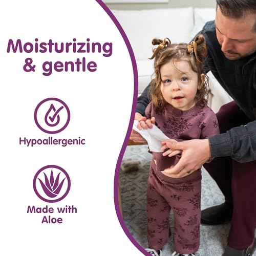 Antibacterial Hand Wipes (30 Count)