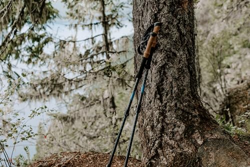 Trekking Poles