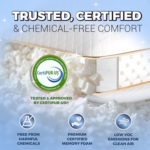 2 Pack King Memory Foam Pillow (2 Count)