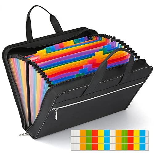 Heavy Duty Accordian File Organizer with Handle