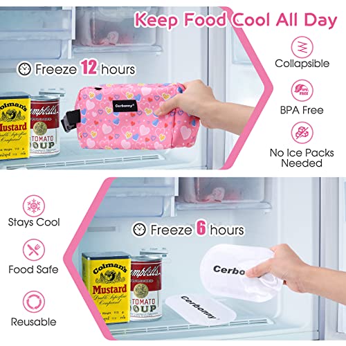 Freezable Lunch Bag