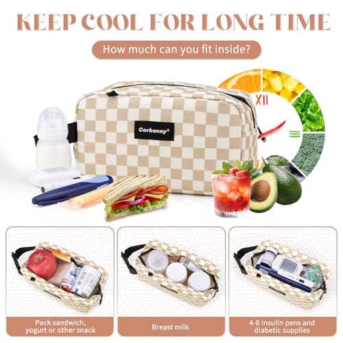 Small Cooler Bag