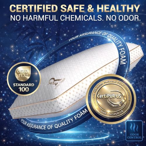 2 Pack Queen Memory Foam Pillow (2 Count)