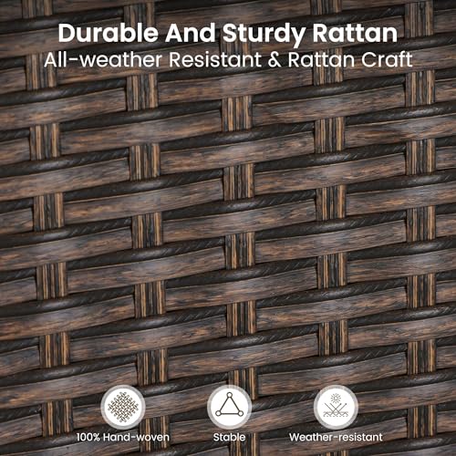 Wicker Patio Dining Chairs Set of 2 with Removable Cushions (2 Count)