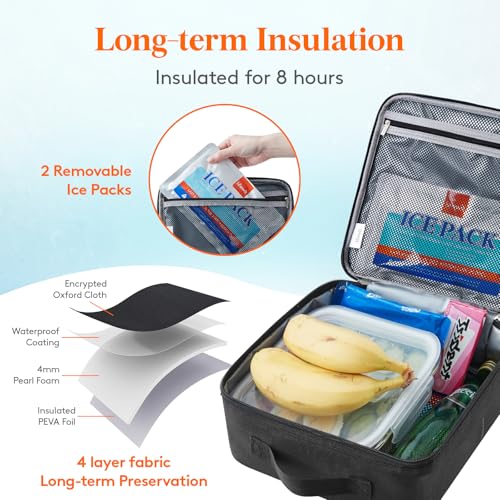 Freezable Lunch Box
