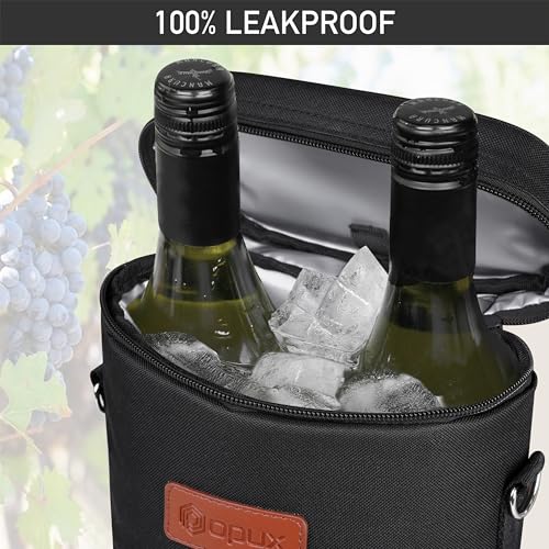 Insulated 2 Bottle Wine Bag Tote Leakproof Carrier Cooler Gift