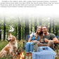 5 Gallon Water Jug with Rechargeable Water Pump