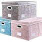 Extra Large Collapsible Storage Cubes with Lids Fabric Decorative Storage Bins Boxes Organizer Baskets with Cover Handles for Bedroom Closet Living Room 19.6x15.7x11.8 Inch 3 Pack (3 Count)