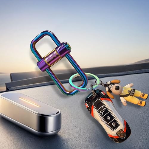 Key Chain Heavy Duty Lock Key Ring Keychain Clip Key Holder Organizer for Home Car Keys Women Men