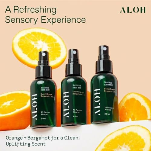 ALŌH Travel Size Hand Sanitizer Spray 3 (6 Fl Oz)