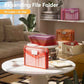 6 Pack Plastic File Folders
