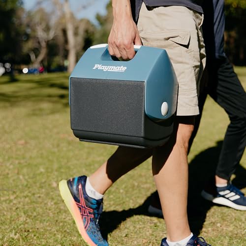 7Qt Maxcold Playmate Pal