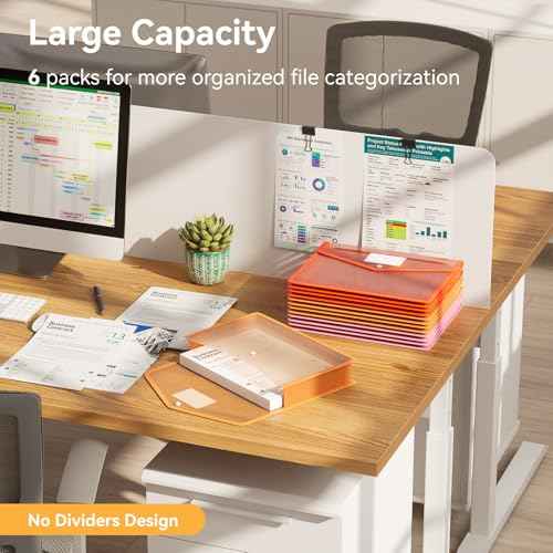 6 Pack Plastic File Folders