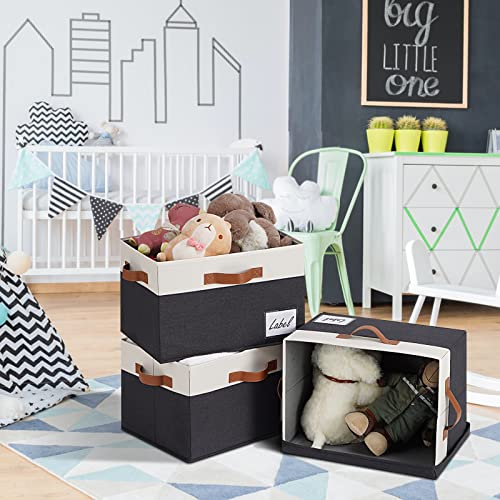 Large Storage Bins with Lids
