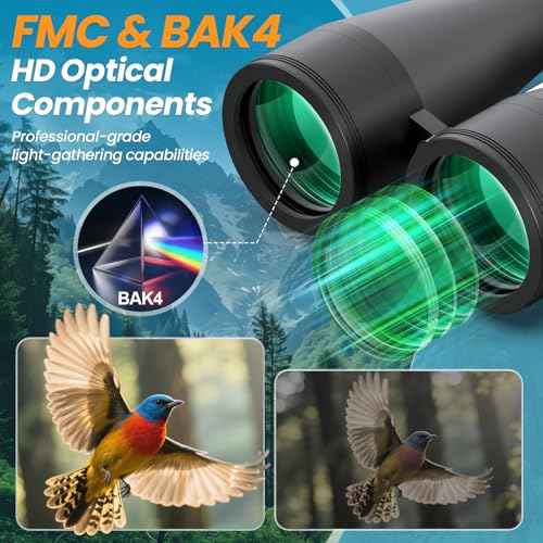 20x80 High Powered Binoculars