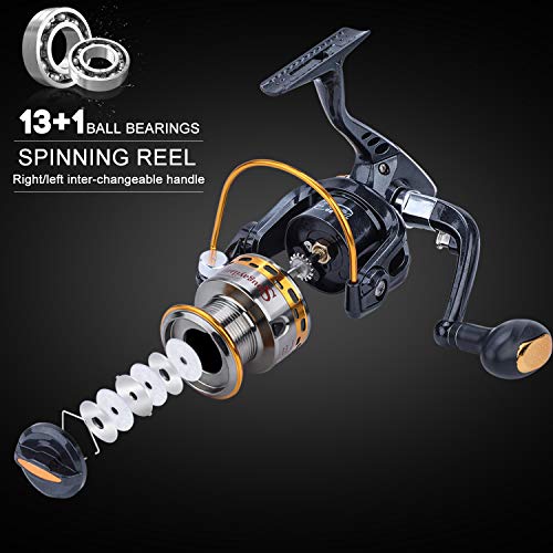 Telescopic Portable Fishing Rod Reel Combo with Spinning Reel and Carrier Bag for Travel