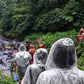 Disposable Rain Ponchos for Adults