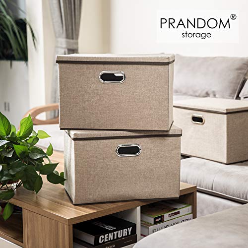 Large Collapsible Storage Bins with Lids [1