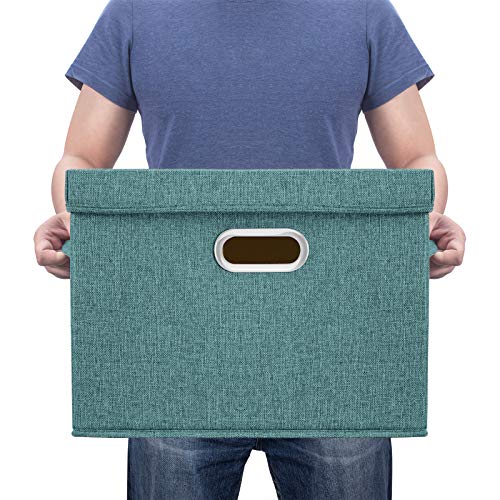Large Storage Bins with Lids (5 Count)