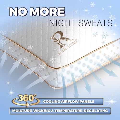 Queen Memory Foam Pillows 4 (4 Count)