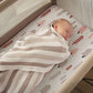 2 Pack Mini Crib Sheets (2 Count)