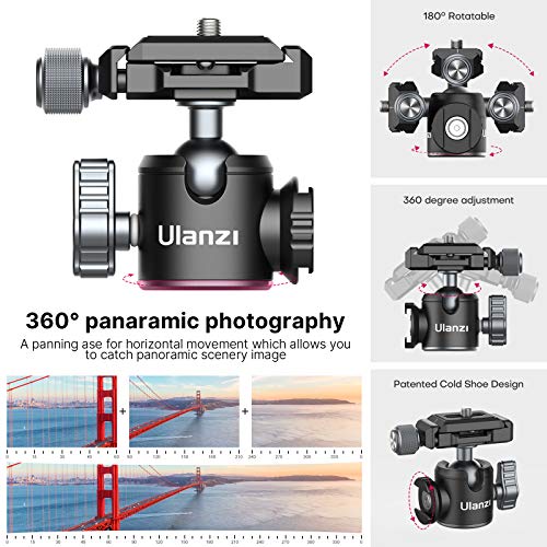 Portable Desktop Mini Tripod PICTRON MT