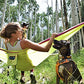 SingleNest Hammock