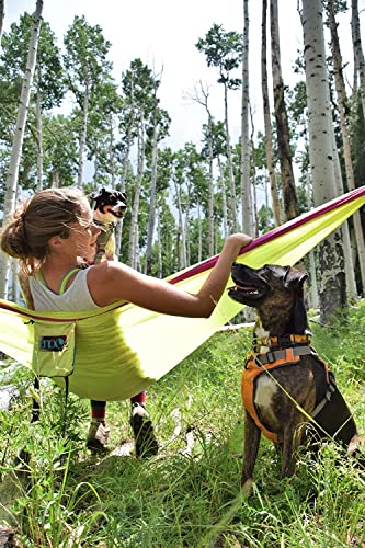 SingleNest Hammock