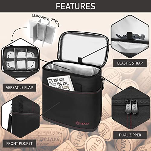 Insulated Wine Cooler Bag