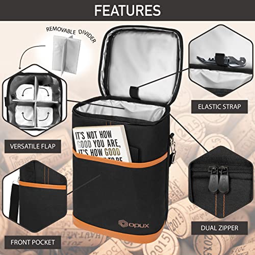 Insulated Wine Cooler Bag