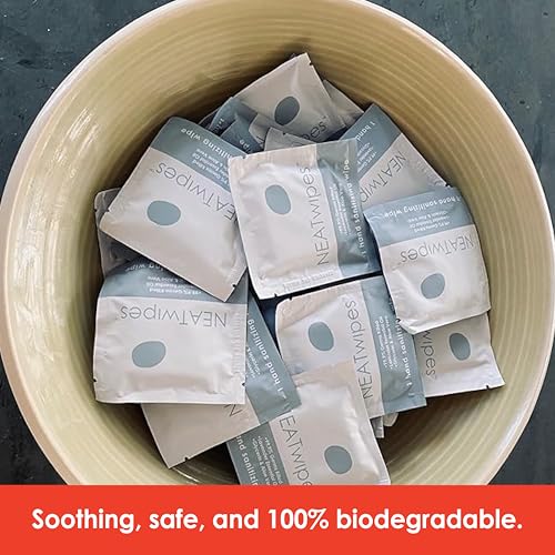 NEATwipes Sanitizing Wipes for Adults (96 Count)