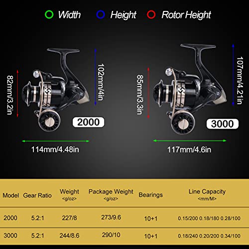 Fishing Pole Kit