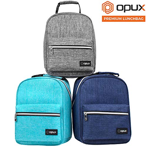 Insulated Lunch Box for Kids and Adults