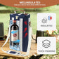 2 Bottle Insulated Wine Carrier Tote (2 Count)