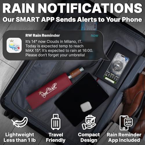 Compact Travel Umbrella for Rain