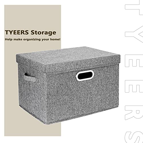Large Collapsible Storage Bins with Lids (2 Count)