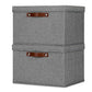 Storage Bins with Lids 2 (2 Count)