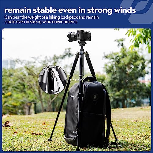 Mini Tripod 60" Lightweight Compact Travel Tripod with 360 Degree Ball Head Phone Mount Detachable Selfie Stick