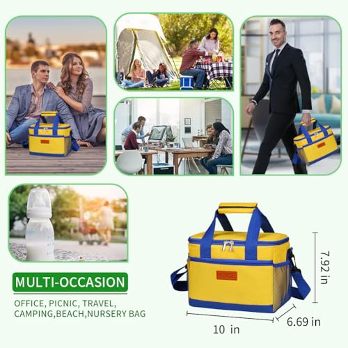 Insulated Lunch Bag