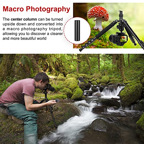 Tripod for Camera