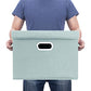 Collapsible Storage Bins With Lids (2 Count)