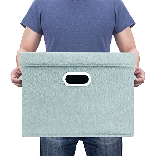 Large Storage Bins with Lids (5 Count)