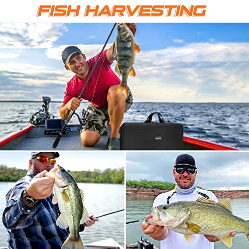 Collapsible Telescopic Fishing Rod Pole and Reel Combo Starter Kit