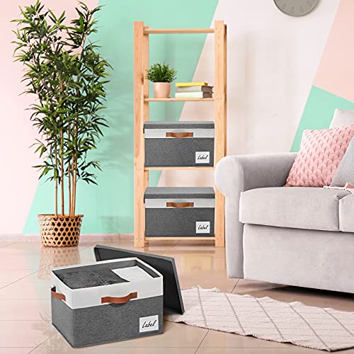 Storage Bins with Lids 3 Pack (3 Count)
