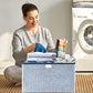 Foldable Storage Bins with Lids (4 Count)