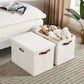 17" Large Fabric Storage Box with Lids (3 Count)